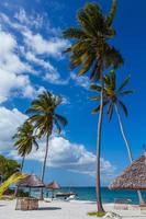 palm strand van maffia eiland foto