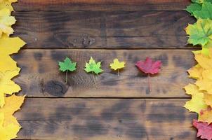 sommige van de vergeling gedaald herfst bladeren van verschillend kleuren Aan de achtergrond oppervlakte van natuurlijk houten borden van donker bruin kleur foto