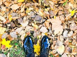 voeten in mooi zwart leer glad glanzend schoenen Aan geel en rood, bruin gekleurde natuurlijk herfst bladeren foto