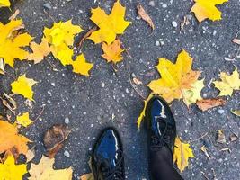 voeten in mooi zwart leer glad glanzend schoenen Aan geel en rood, bruin gekleurde natuurlijk herfst bladeren Aan de bestrating foto