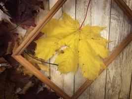 houten rechthoekig afbeelding kader en geel kleurrijk natuurlijk herfst bladeren, esdoorn- Aan de achtergrond van houten planken. de achtergrond. structuur foto