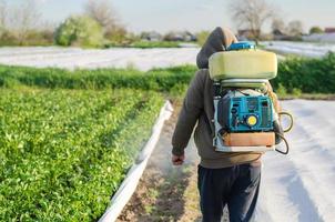 een boer met een de nevel vernevelaar sproeier sprays fungicide en pesticide Aan aardappel struiken. bescherming van gecultiveerd planten van insecten en schimmel infecties. effectief Bijsnijden bescherming, milieu gevolg foto