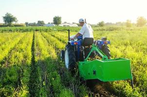 een boer Aan een trekker schijven aan de overkant de veld- en opgravingen aardappelen. extract wortel groenten naar oppervlak. landbouw en landbouwgrond. oogsten aardappelen in herfst. platteland. voedsel productie foto