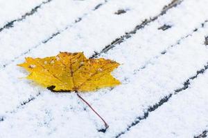 esdoorn- blad Aan sneeuw foto