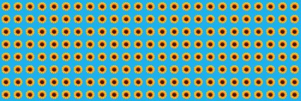 abstract zonnebloem patroon Aan blauw achtergrond foto