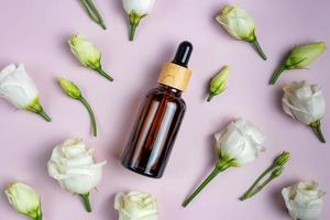 donker glas kunstmatig fles met druppelaar, delicaat voorjaar bloemen Aan roze achtergrond. vlak leggen top visie. voorjaar concept van natuurlijk biologisch cosmetica, schoonheid kruiden Product spa aroma olie. mockup foto