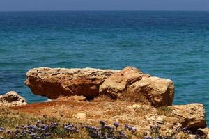 stenen in een stad park door de zee in noordelijk Israël foto