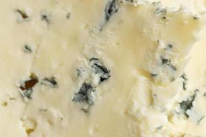 kaas met blauw gietvorm besnoeiing in stukken foto