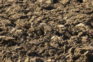 voorbereiding van bodem voor zaaien planten foto