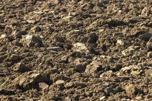 voorbereiding van bodem voor zaaien planten foto