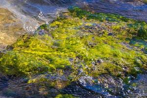 stenen rotsen koralen turkoois groen blauw water Aan strand Mexico. foto