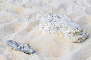 stenen schelpen koralen Aan strand zand playa del carmen Mexico. foto