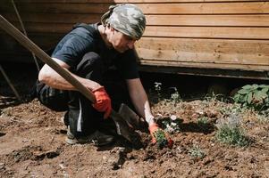 Mens tuinieren fabriek bloem Gezondheid foto