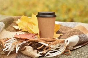 een warm deken met een glas van koffie en geel esdoorn- bladeren Aan een park bank foto