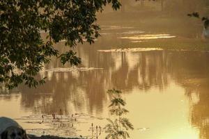 nevelig naar beneden Bij de rivier- foto