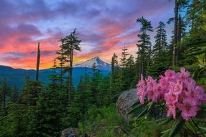 prachtig uitzicht op Mount Hood in Oregon, VS. foto