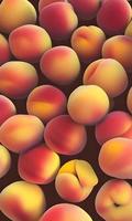 rood perzik fruit foto