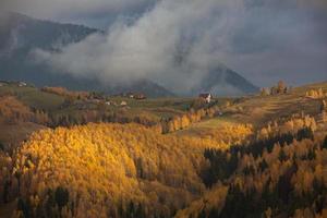 kleurrijk herfst landschap in de berg dorp. mistig ochtend- in de Karpaten bergen in Roemenië. verbazingwekkend natuur. foto