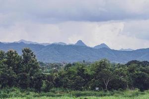 groene rijstveld met bergen achtergrond onder blauwe hemel, panoramisch uitzicht rijstveld. foto