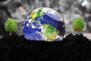 het concept van liefde voor de aarde en het milieu. wereldbol op aarde foto