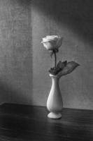 roos op een keramische vaas foto