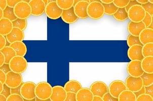 Finland vlag in vers citrus fruit plakjes kader foto