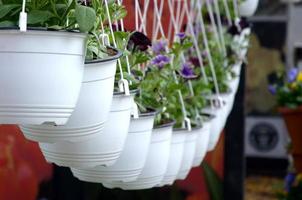 viooltjes bloemen in hangende potten in de op te slaan, voorjaar achtergrond foto