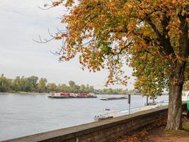 dusseldorf en de Rijn rivier- foto