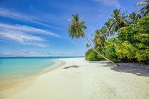 het beste tropisch strand landschap. fantastisch zomer kust, vakantie bestemming, palm bomen, wit zand, zonnig lucht. vrijheid reis, verbazingwekkend zee lagune, paradijs kust natuur landschap. mooi strand foto