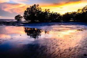 Aurora mangrove achtergrond foto