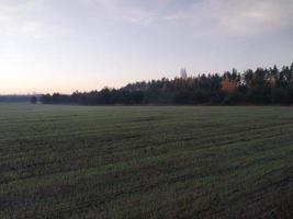 ochtend- en nacht panorama van dageraad foto