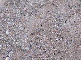 de zanderig oppervlakte in de strand met natuurlijk zand en klein fragmenten van schors fragmenten heeft een veel van scherp en scherp randen. foto