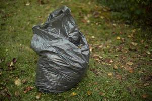 zak met bladeren. zwart plastic tas. schoonmaak in werf in herfst. foto