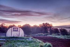 ochtend- zon stralend gooide kas Aan een boerderij foto