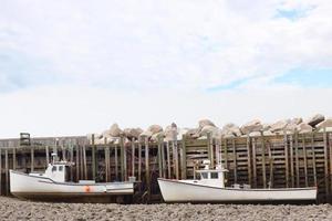 twee visvangst boten zittend Aan de bodem Bij laag tij in de baai van fundy foto