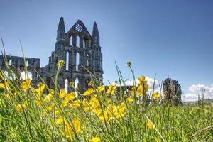 bogen Bij Whitby abdij ruïnes in noorden yorkshire uk foto