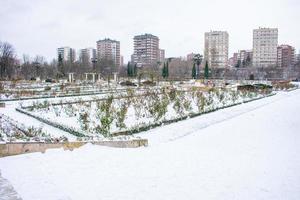 besneeuwd park met de stad in de achtergrond foto