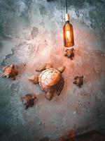 hout gesneden schildpad kunsten Aan een muur. foto