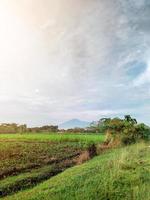 mooi platteland panorama, zonnig berg visie in de ochtend- foto