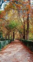 herfst valt landschap foto