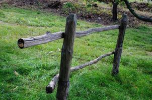 harnas voor paarden , houten hek foto