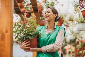 bloemisten Dames werken met bloemen in een kas foto