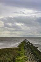 mooi kust- dijk landschap panorama water stenen velden Woud duitsland. foto