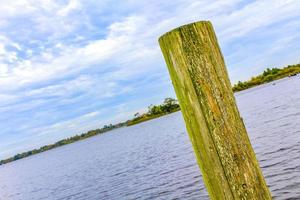 mooi rivier- stroom vijver en meer natuur Woud in duitsland. foto