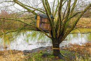 bevroren rivier- stroom vijver meer verkoudheid natuur Woud milieu duitsland. foto