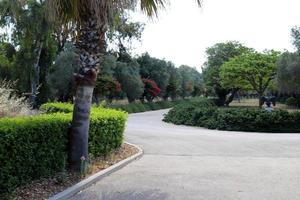 voetganger weg in de stad park Aan de kust. foto