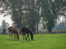 de vechten rivier- in Duitsland foto