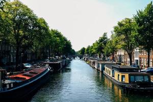 boten op de rivier in de buurt van bomen foto