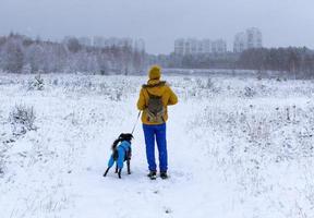 jong vrouw in geel wandelen gemengd ras bedlington whippet hond in blauw overall in winter besneeuwd Woud huisdier adoptie foto