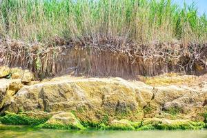 rivier- met riet weerspiegeld in de water foto